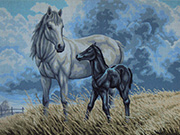 Gobelín "Koně" 80 x 60 cm